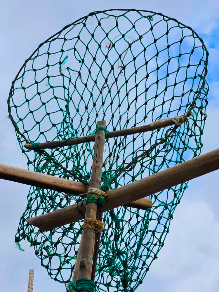 Visite et animation au musée de la pêche img 20250901 wa0335